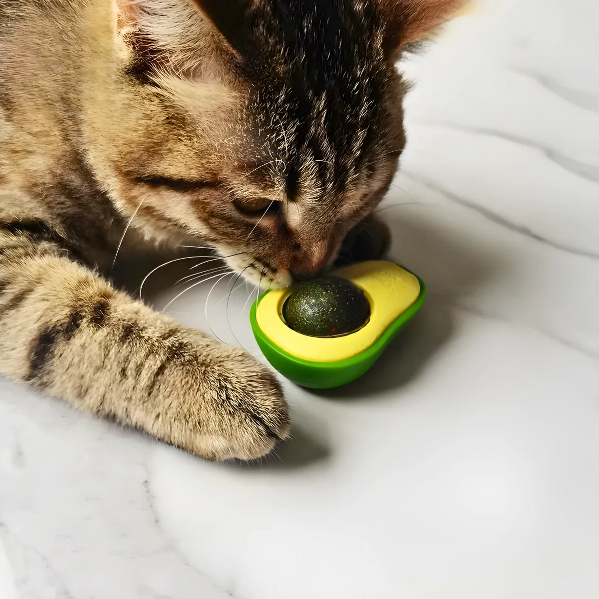 Aguacate de juguete con hierba gatera para gatos